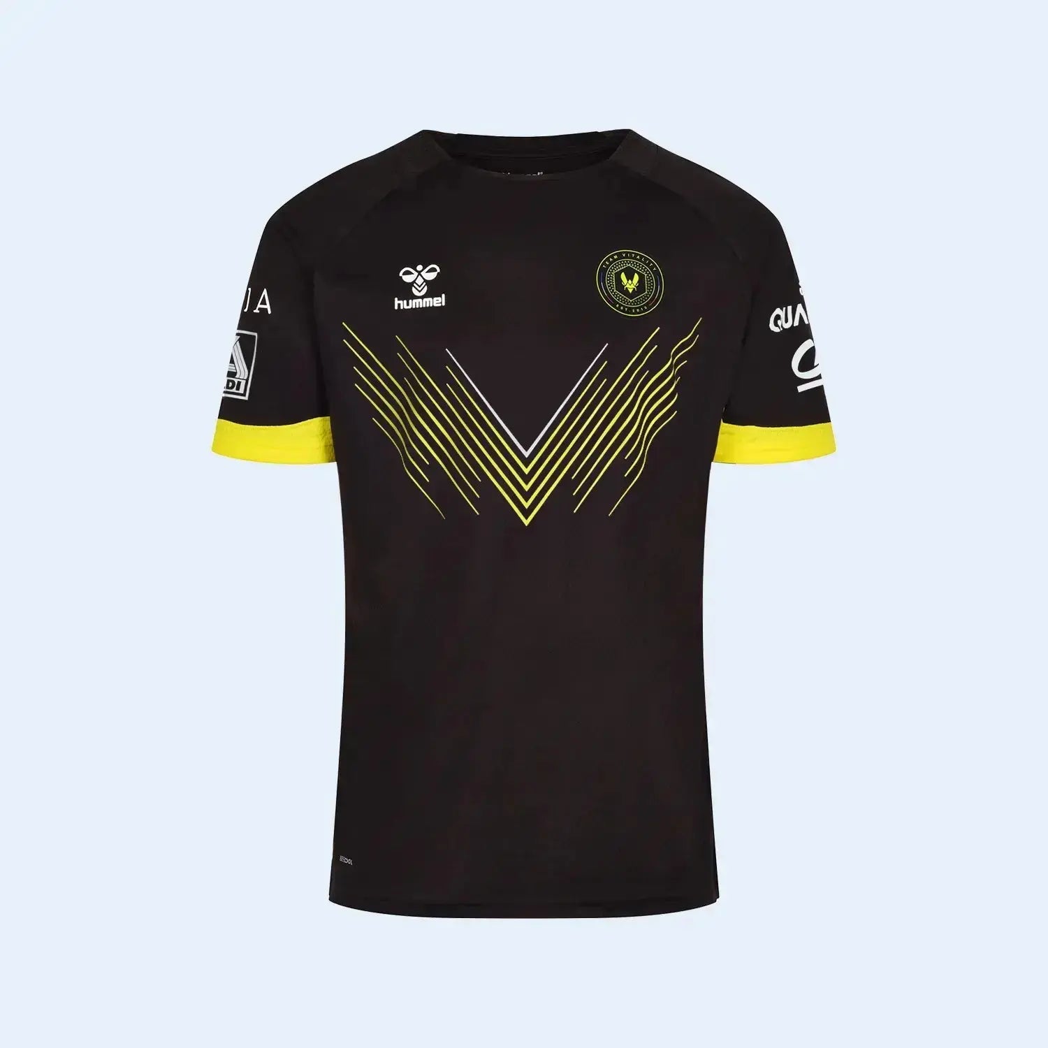 Áo Thi Đấu (Jersey) Pro Kit Vitality 2024 par équipe